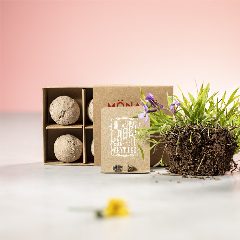 Kit de horta com 4 sementes Tomarux – foto 6