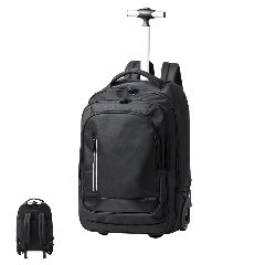 Mochila trolley de 2 rodas para portátil 15 Dancan