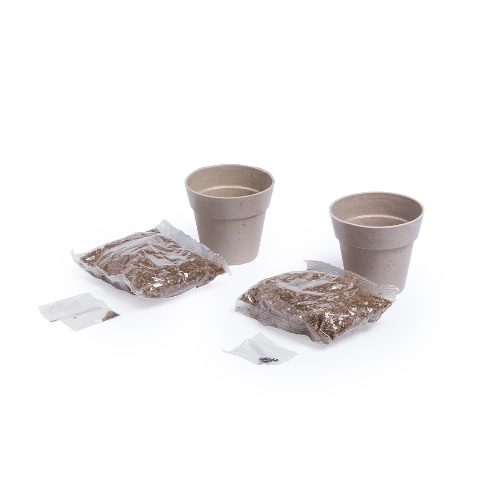 Conjunto de 2 vasos com sementes Nertel