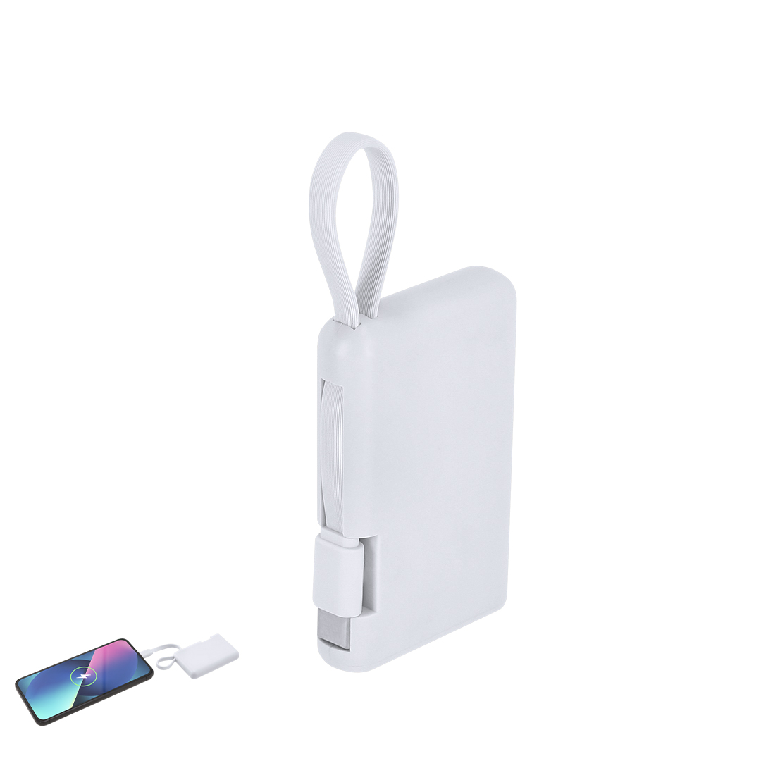 Power Bank - Brandin