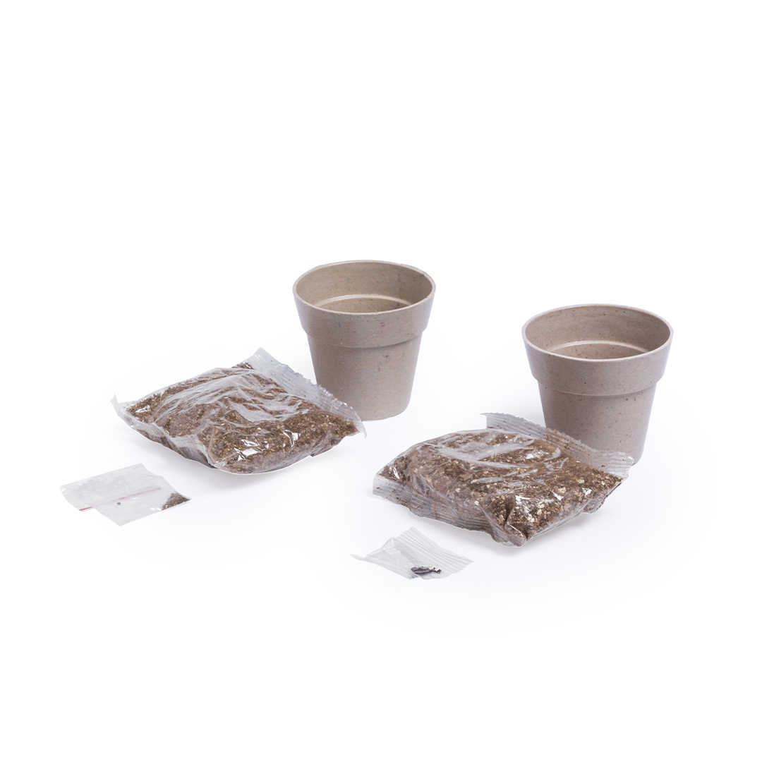 Set Vasos - Nertel